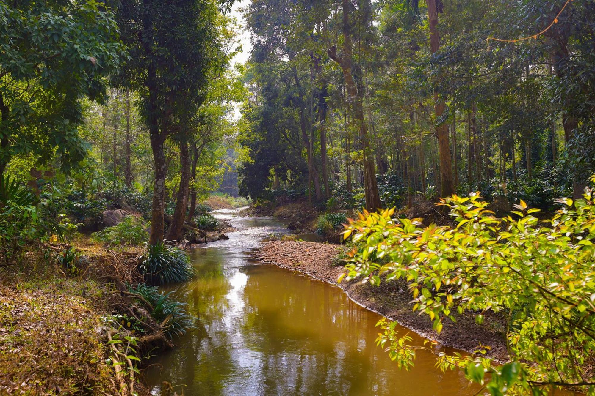 The Grand Retreat - Chikmagalur Hotel Buitenkant foto